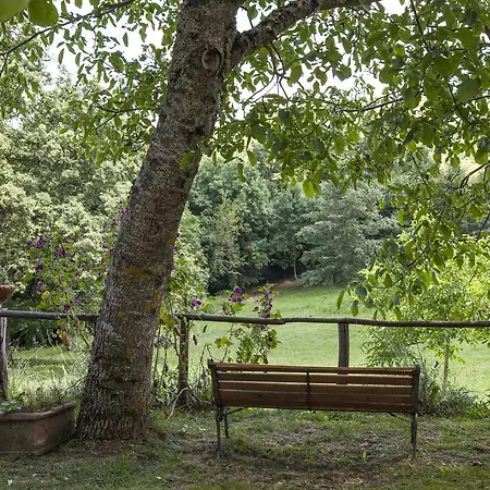 Oda ve Kahvaltı Casamonti Villa (Arezzo)